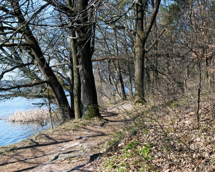 Path along the river, trees and blue sky, spring