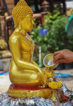 Bathing the Buddha image on Songkran Day in Thailand.