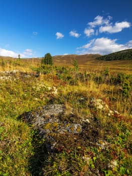 View of the hillside with the trees under the blue cloudy sky