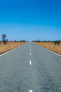 Long empty road symmetric markings Australia leading through savanna landscape touching the horizon
