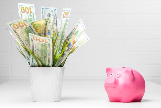 Concept photo of a pot of money and a pink piggy bank financial growth