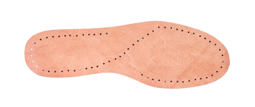 Single shoe insole isolated on a white background