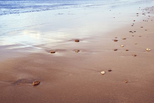 sandy sea shore with pebbles, blue water contrasts with golden sand