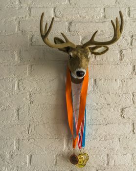 deer head with antlers hanging on a white brick wall, deer with sport medals around its neck
