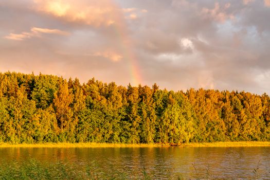 Rainbow over the lake and forest at sunset on a summer day.