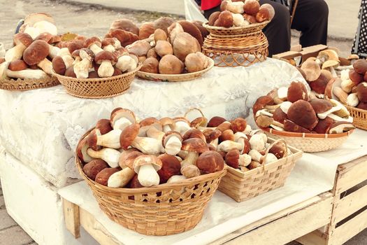 Many beautiful edible forest mushrooms boletus edulis f. pinophilus known as king bolete, penny bun and sep in wicker baskets laid out for sale on the market.
