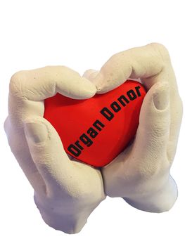 Adult woman and men hand hold a red heart, health care love, give, hope and family concept.