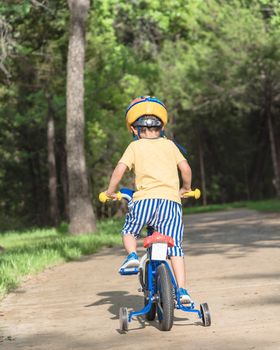 Rear view of Asian toddler boy riding tricycle at nature park near Dallas, Texas, USA. Healthy kid cycling with helmet, short and sneaker on park concrete pathway