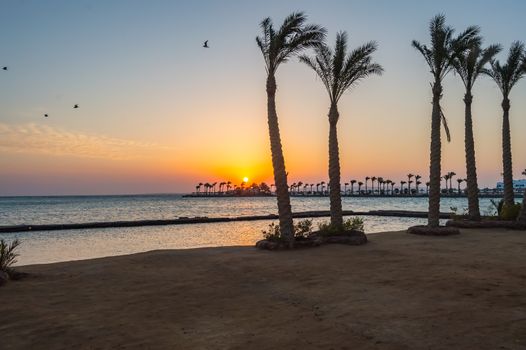 Sunrise on a peninsula of Hurghada across a row of palm trees on the Red Sea in Egypt