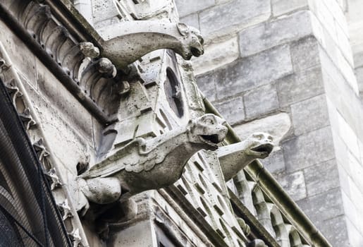 Gargoyles of Notre Dame cathedral in Paris, France