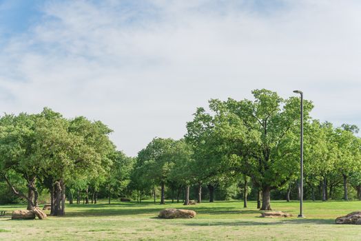 Beautiful park with grassy lawn, trees, decorative landscape rock. Nature area near Dallas, Texas, USA