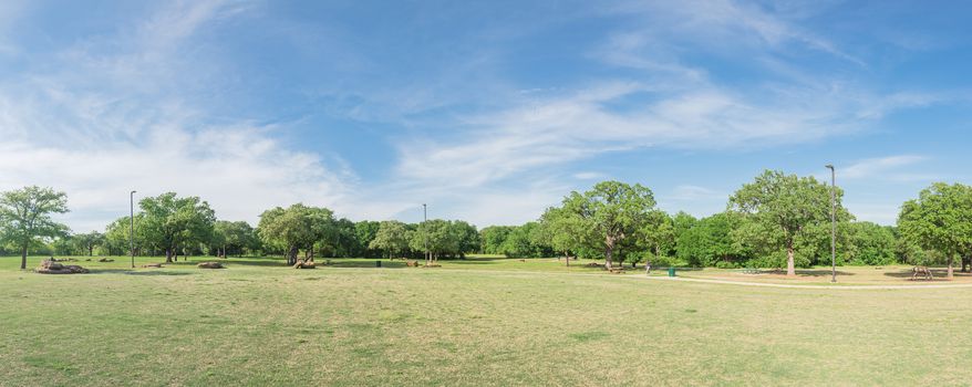 Panorama view natural urban park with grass lawn and tree lush in Texas, America