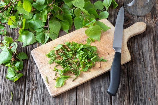 Cutting up birch leaves and catkins to prepare homemade tincture