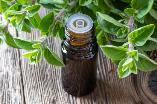 A bottle of essential oil with fresh oregano twigs