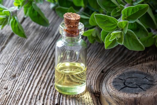 A bottle of essential oil with fresh oregano twigs