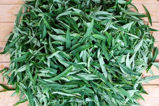 blooming sally leaves - raw materials for making traditional Russian Koporsky tea also known as Ivan Tea.