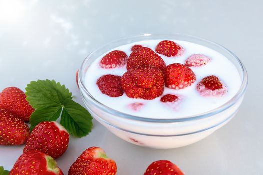 Fresh ripe strawberries in a bowl with yogurt on a white table outdoors on a summer day.