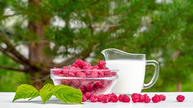 Fresh raspberries in a glass bowl and natural iogurt on a white wooden table against a green background. Concept of healthy organic nutrition.