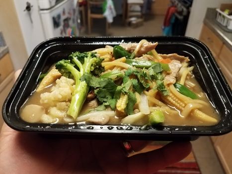 hand holding Thai food with curry broccoli bamboo and pork and corn