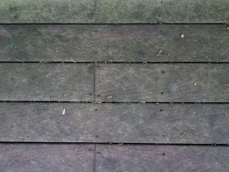 dirty brown wood deck or ground of floor with algae