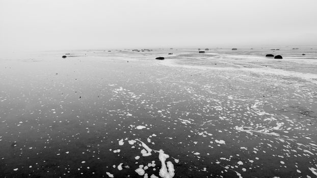 autumn, the shore of a large lake,black and white image