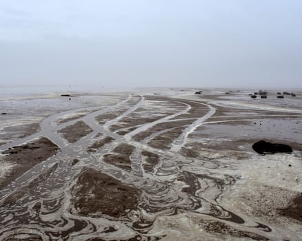 sandy shore of Lake Ilmen, Russia Novgorod region