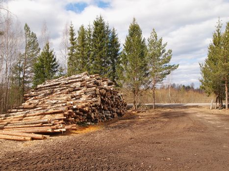  piled logs, the image shows wood harvesting