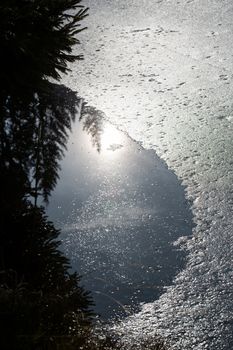 Winter landscape at the small Arbersee in Bavaria