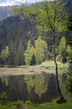 Landscape at the small Arbersee in Bavaria