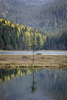 Landscape at the small Arbersee in Bavaria