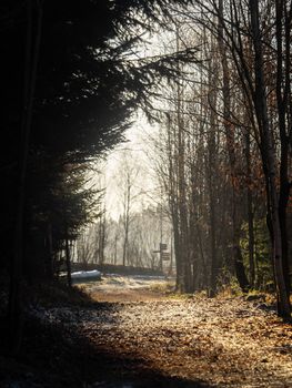 Landscape picture from the national park in Bavaria