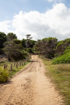 Wonderful dune landscape Cala Mesquida Mallorca Spain