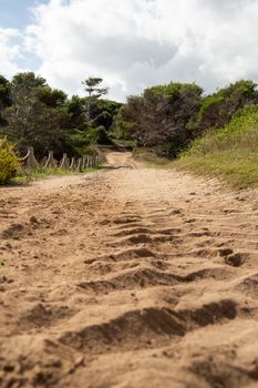 Wonderful dune landscape Cala Mesquida Mallorca Spain