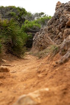 Wonderful dune landscape Cala Mesquida Mallorca Spain