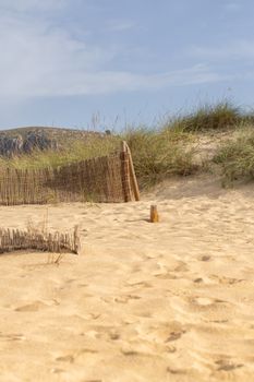 Wonderful dune landscape Cala Mesquida Mallorca Spain