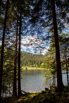 Landscape at the small Arbersee in Bavaria