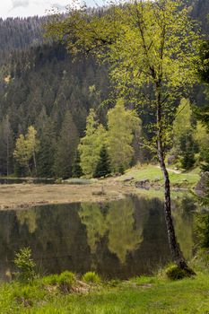 Landscape at the small Arbersee in Bavaria