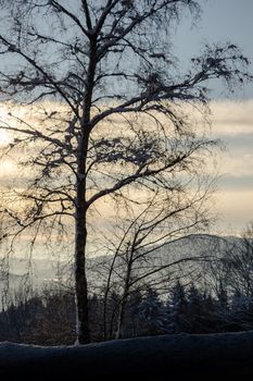 A wonderful winter landscape in beautiful Bavaria