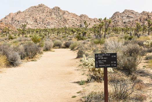 Trail sign on Boy Scout Trail in Joshua Tree National Park, California