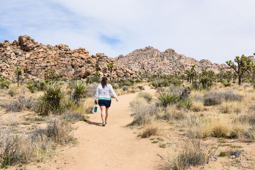 Hiker on Boy Scout Trail in Joshua Tree National Park, California