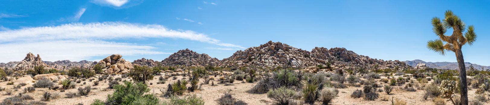 Wonderland of Rocks panorama along Willow Hole Trail in Joshua Tree National Park, California