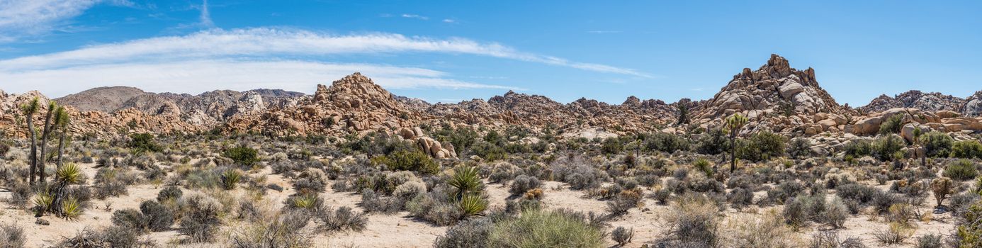 Wonderland of Rocks panorama along Willow Hole Trail in Joshua Tree National Park, California