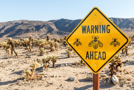 Bee warning sign in the Cholla Cactus Garden in Joshua Tree National Park, California