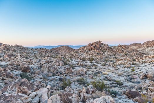 Dusk in the Porcupine Wash wilderness area in Joshua Tree National Park, California