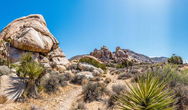 Panorama of Hall of Horrors area in Joshua Tree National Park, California