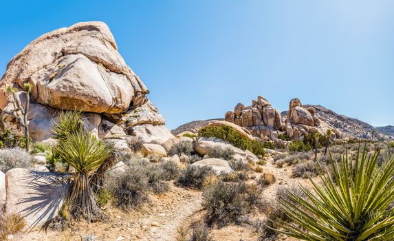 Panorama of Hall of Horrors area in Joshua Tree National Park, California