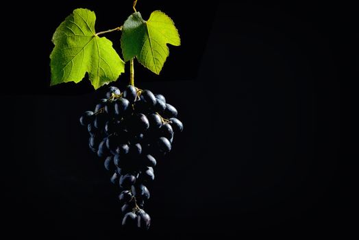 Bunch of grapes isolated on black background