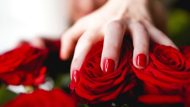 Woman hands with manicure red nails closeup and rose. Skin and nail care.