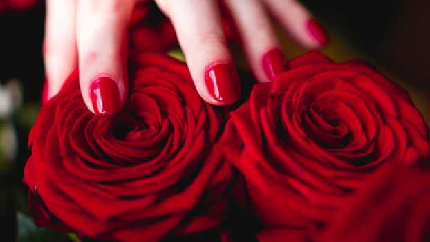 Woman hands with manicure red nails closeup and rose. Skin and nail care.