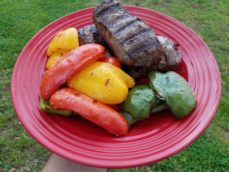 hand holding red plate with grilled steak and red yellow and green peppers over grass